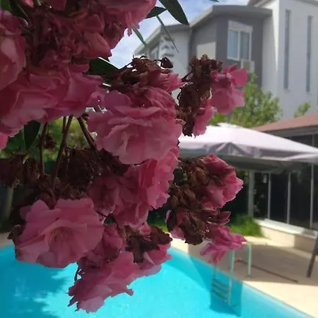 Vila Muestakil, Oezel Havuzlu, Jakuzi Ve Saunali Belek