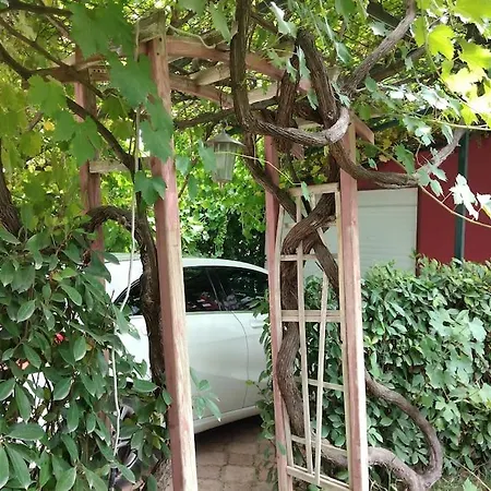 Vila Muestakil, Oezel Havuzlu, Jakuzi Ve Saunali Belek