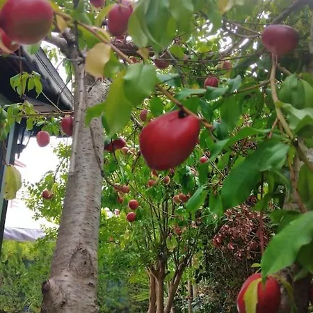 Muestakil, Oezel Havuzlu, Jakuzi Ve Saunali Vila Belek