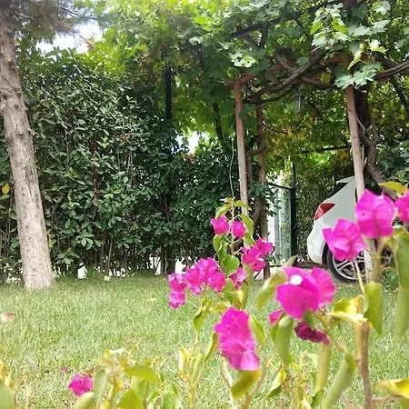Muestakil, Oezel Havuzlu, Jakuzi Ve Saunali Vila *